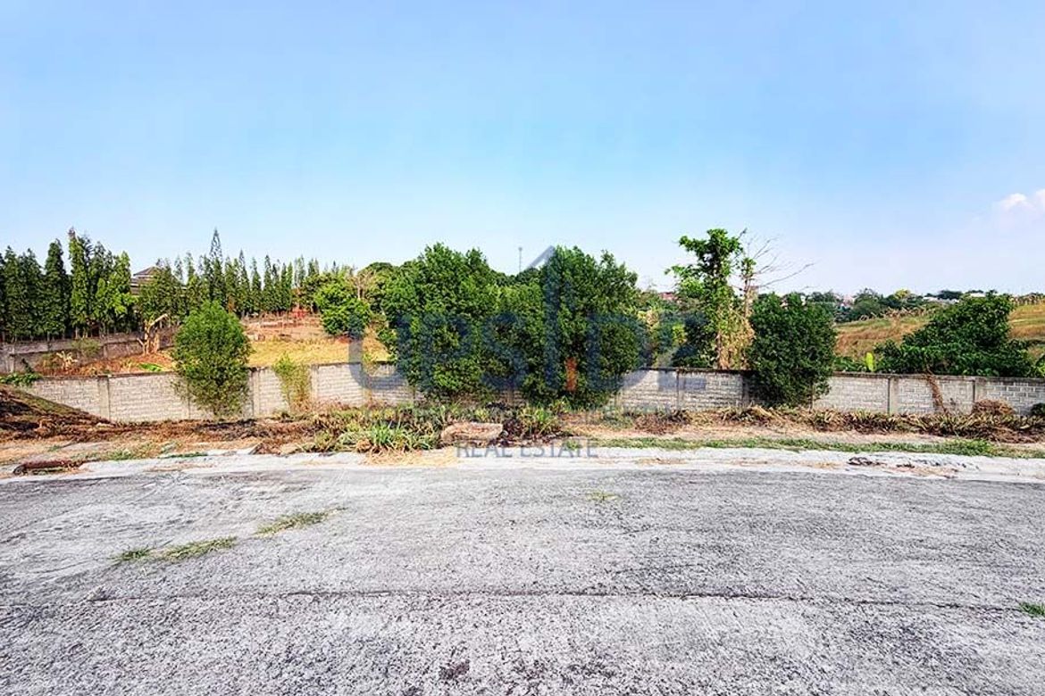 Land for Sale in Salawag, Dasmariñas, Cavite – photo 6