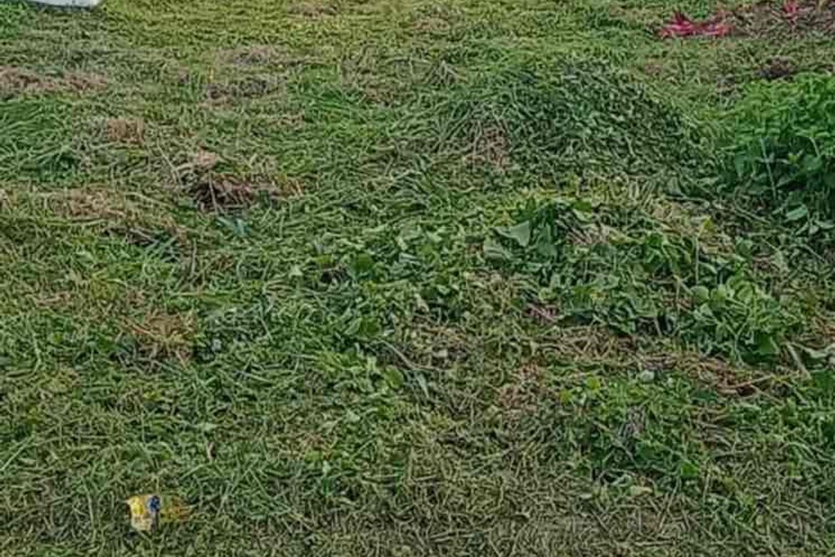 Land for Sale in Salawag, Dasmariñas, Cavite