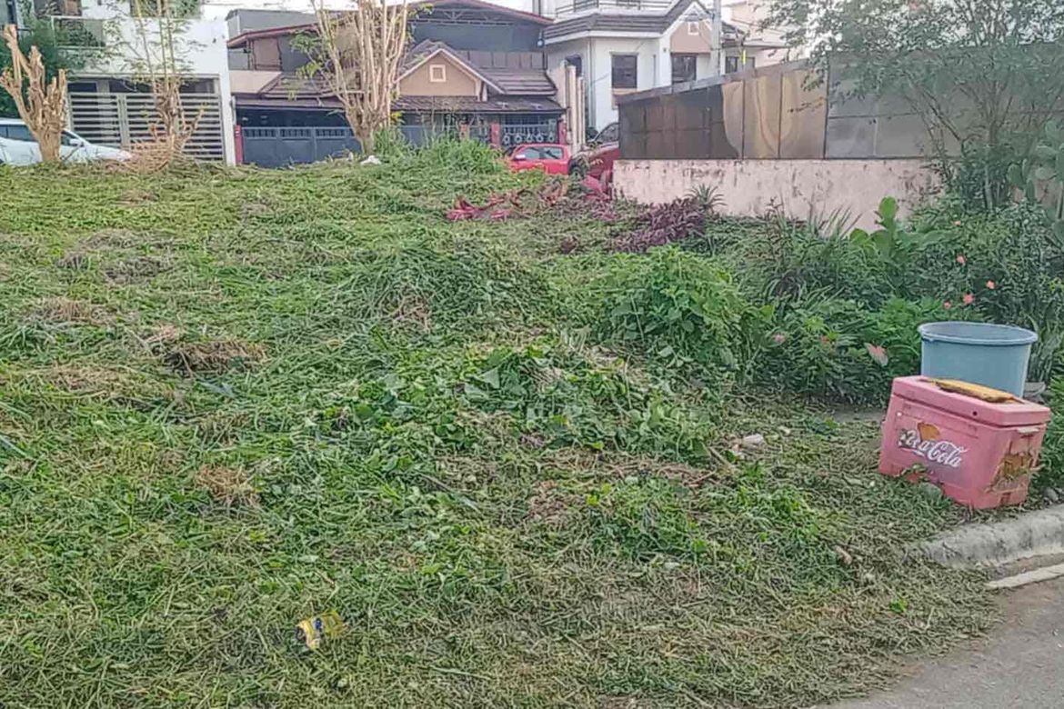 Land for Sale in Salawag, Dasmariñas, Cavite – photo 2