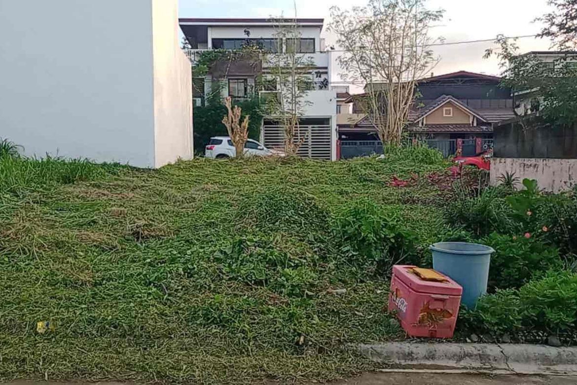Land for Sale in Salawag, Dasmariñas, Cavite – photo 3