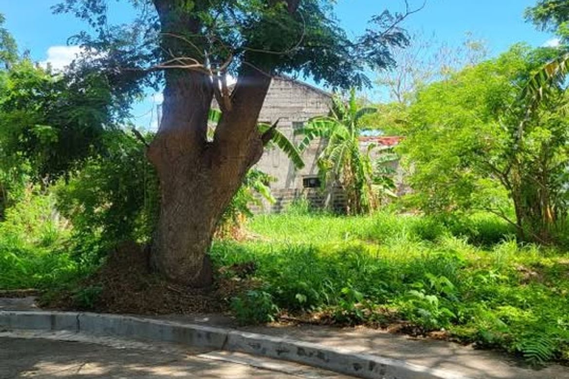 Land for Sale in Salawag, Dasmariñas, Cavite – photo 2