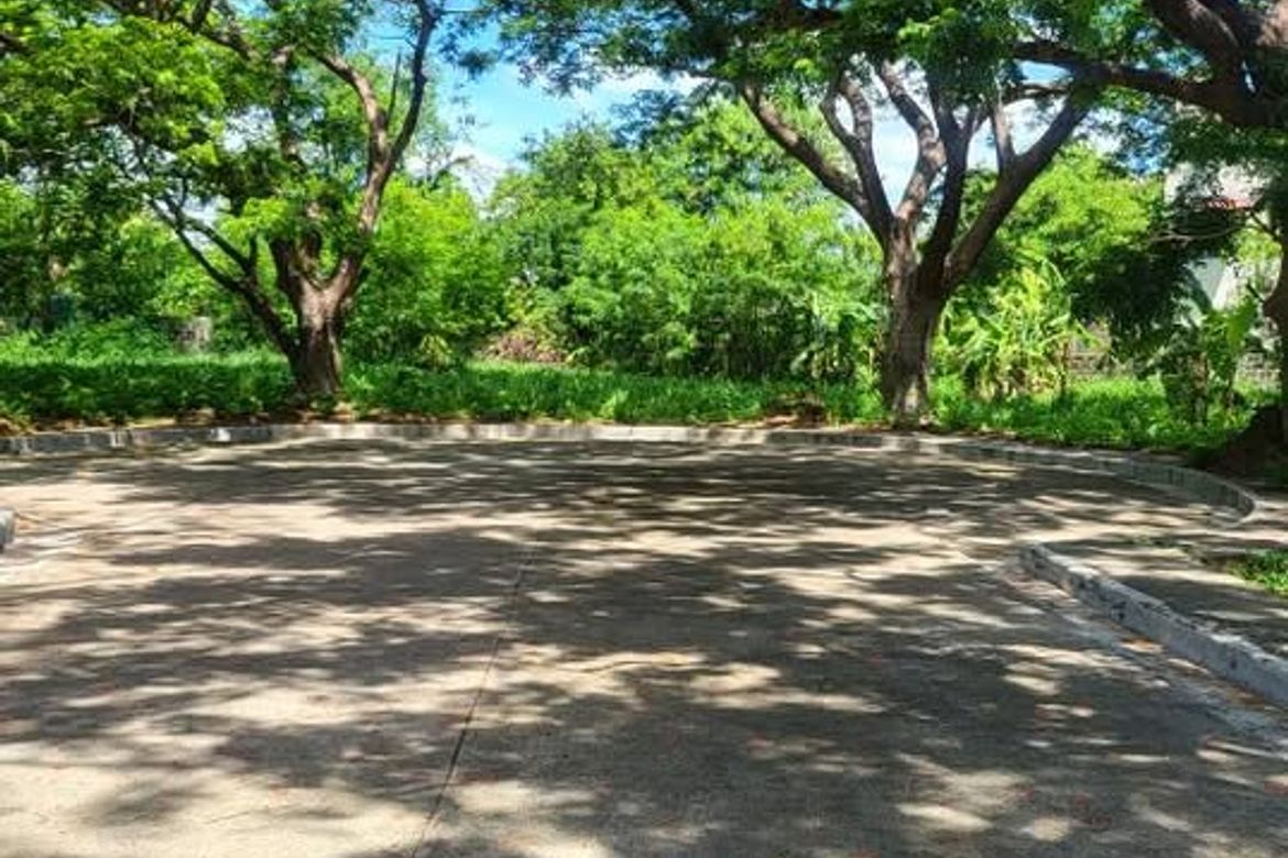 Land for Sale in Salawag, Dasmariñas, Cavite – photo 3