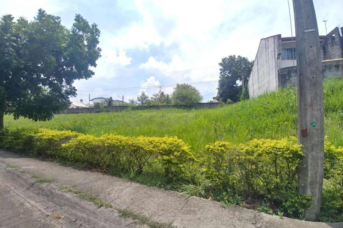 Land for Sale in Salawag, Dasmariñas, Cavite – photo 3