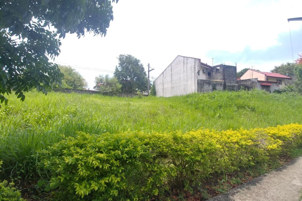 Land for Sale in Salawag, Dasmariñas, Cavite – photo 5