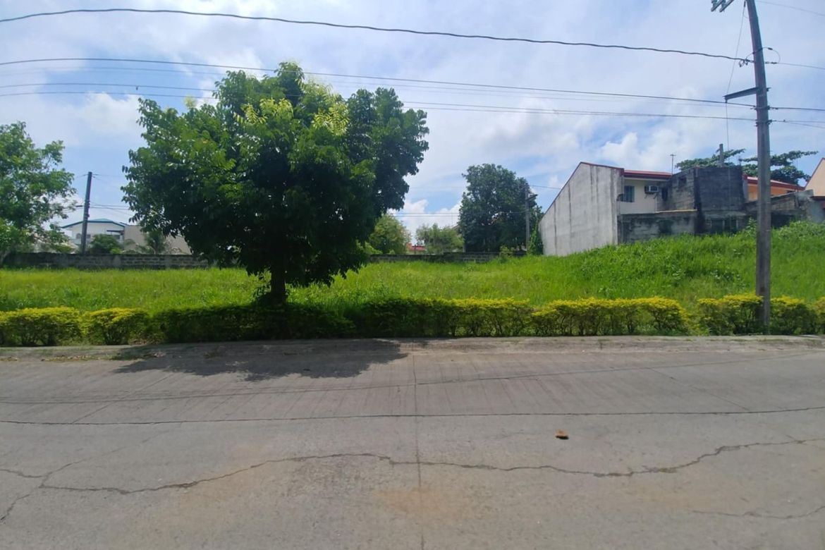 Land for Sale in Salawag, Dasmariñas, Cavite – photo 6
