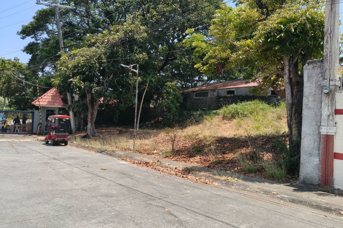 Land for Sale in Salawag, Dasmariñas, Cavite – photo 3