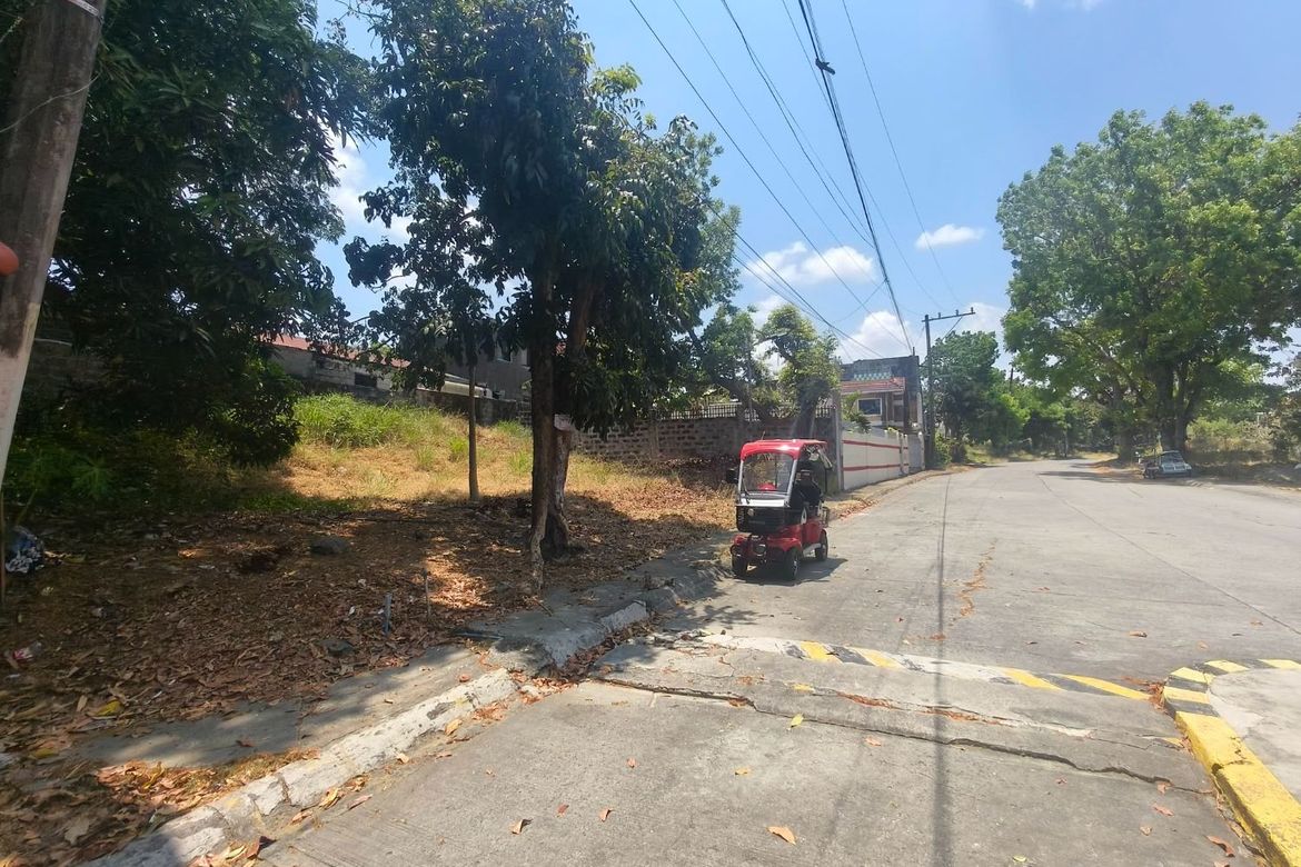 Land for Sale in Salawag, Dasmariñas, Cavite – photo 4