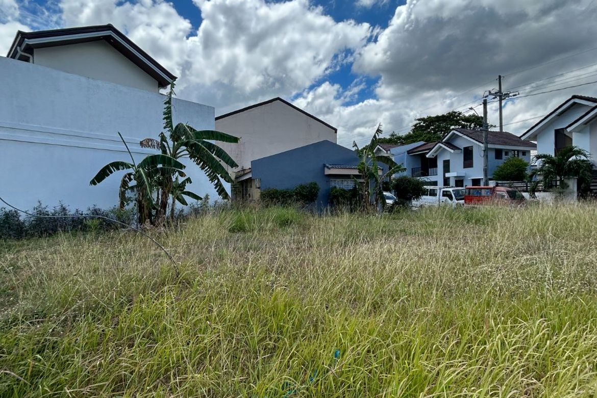 Land for Sale in Salawag, Dasmariñas, Cavite – photo 3