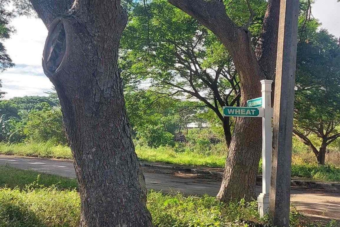 Land for Sale in Salawag, Dasmariñas, Cavite – photo 3