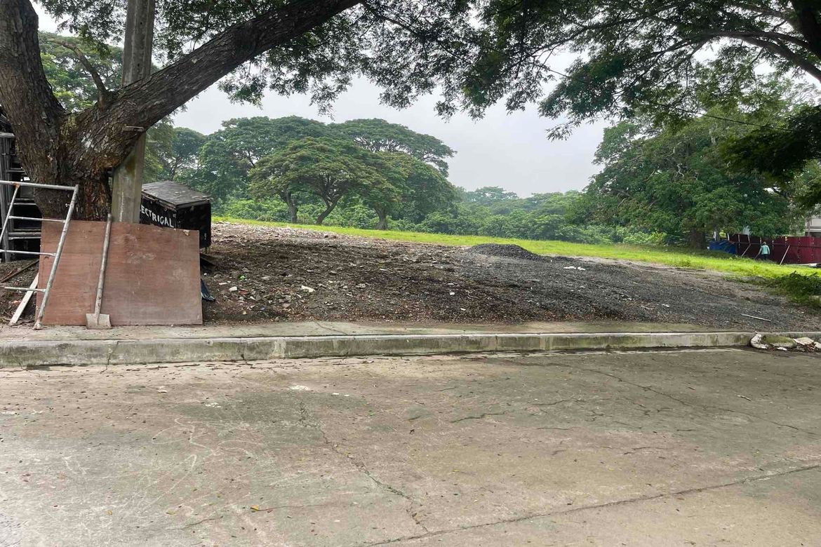 Land for Sale in Salawag, Dasmariñas, Cavite – photo 4