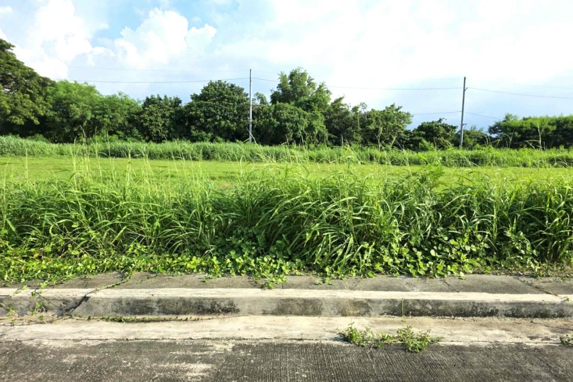 Land for Sale in Salawag, Dasmariñas, Cavite