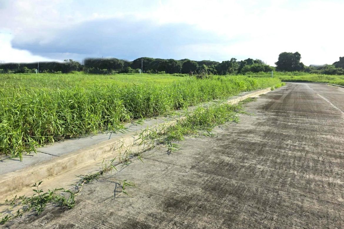 Land for Sale in Salawag, Dasmariñas, Cavite – photo 2