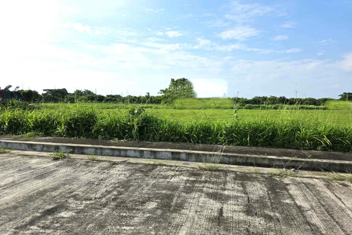 Land for Sale in Salawag, Dasmariñas, Cavite – photo 4