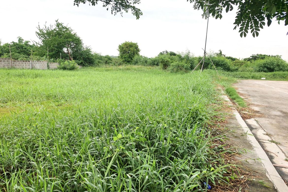Land for Sale in Salawag, Dasmariñas, Cavite – photo 3