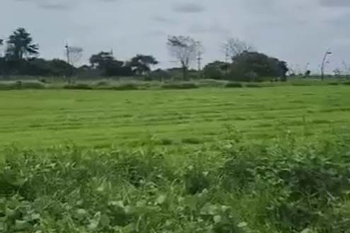 Land for Sale in Salawag, Dasmariñas, Cavite – photo 3