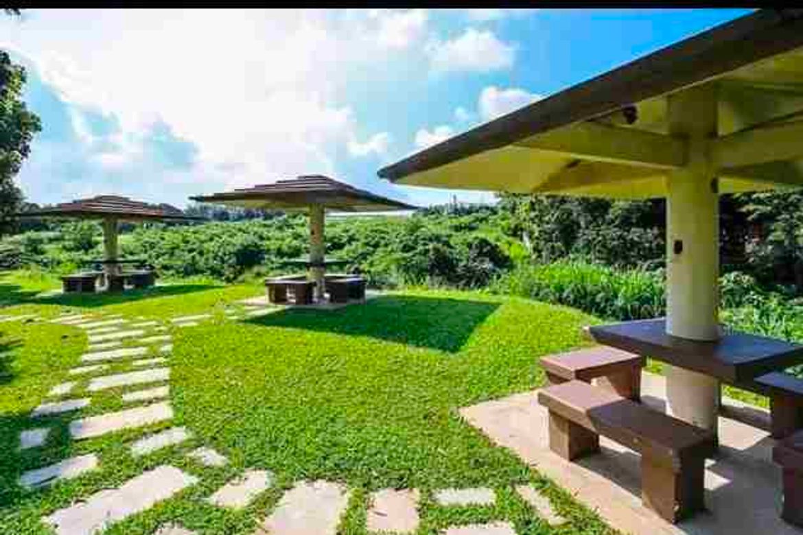Land for Sale in Salawag, Dasmariñas, Cavite – photo 6