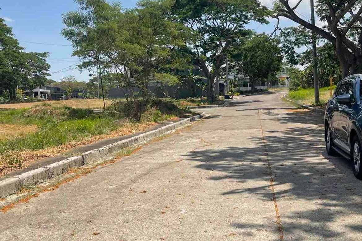 Land for Sale in Salawag, Dasmariñas, Cavite – photo 3