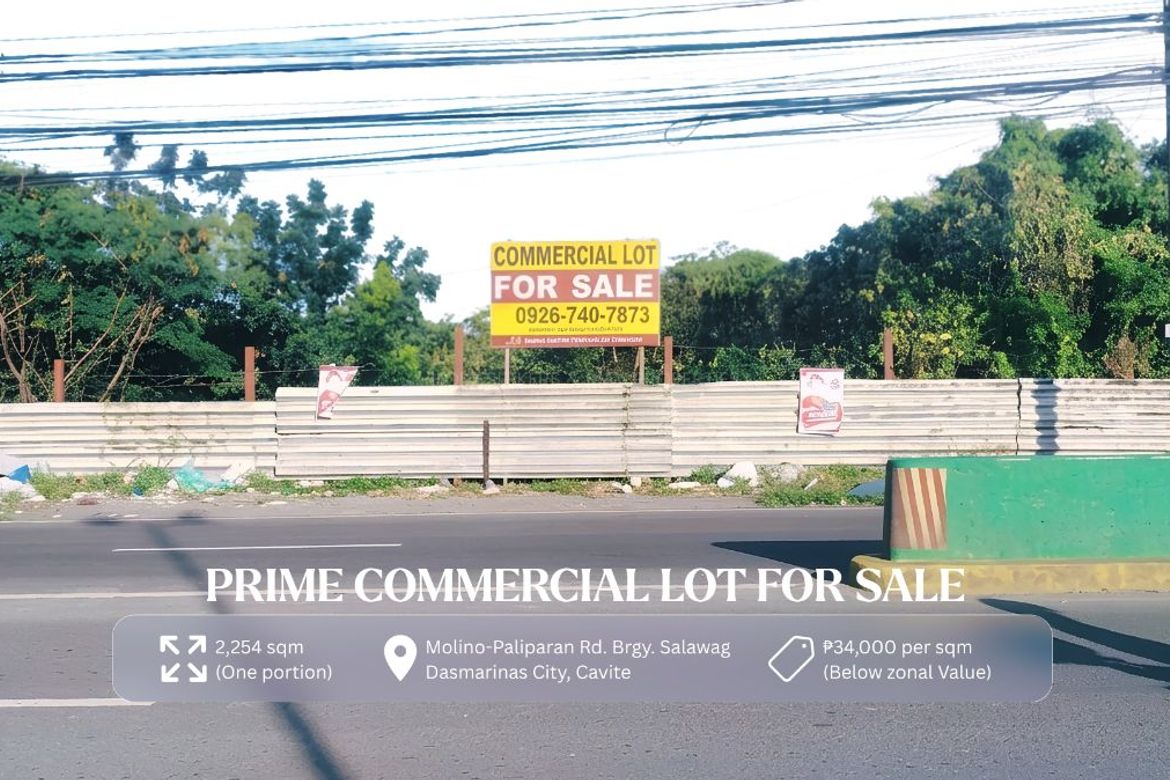 Land for Sale in Salawag, Dasmariñas, Cavite