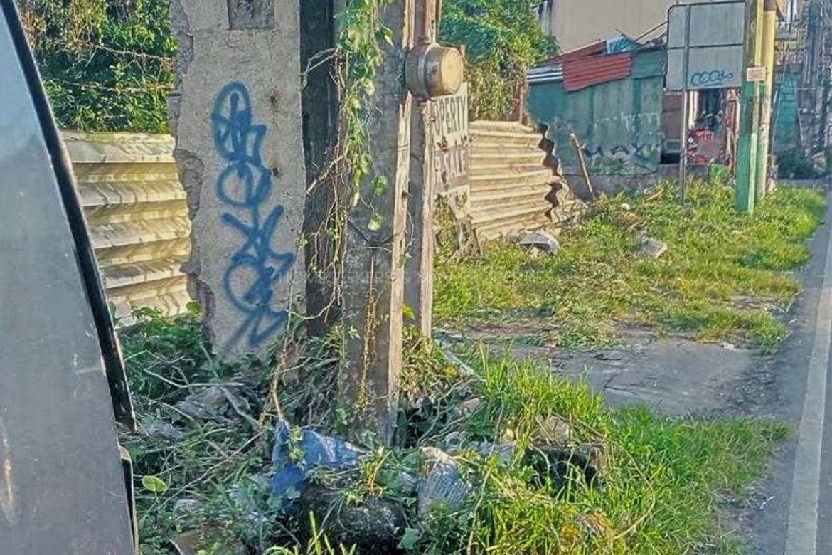 Land for Sale in Salawag, Dasmariñas, Cavite – photo 6