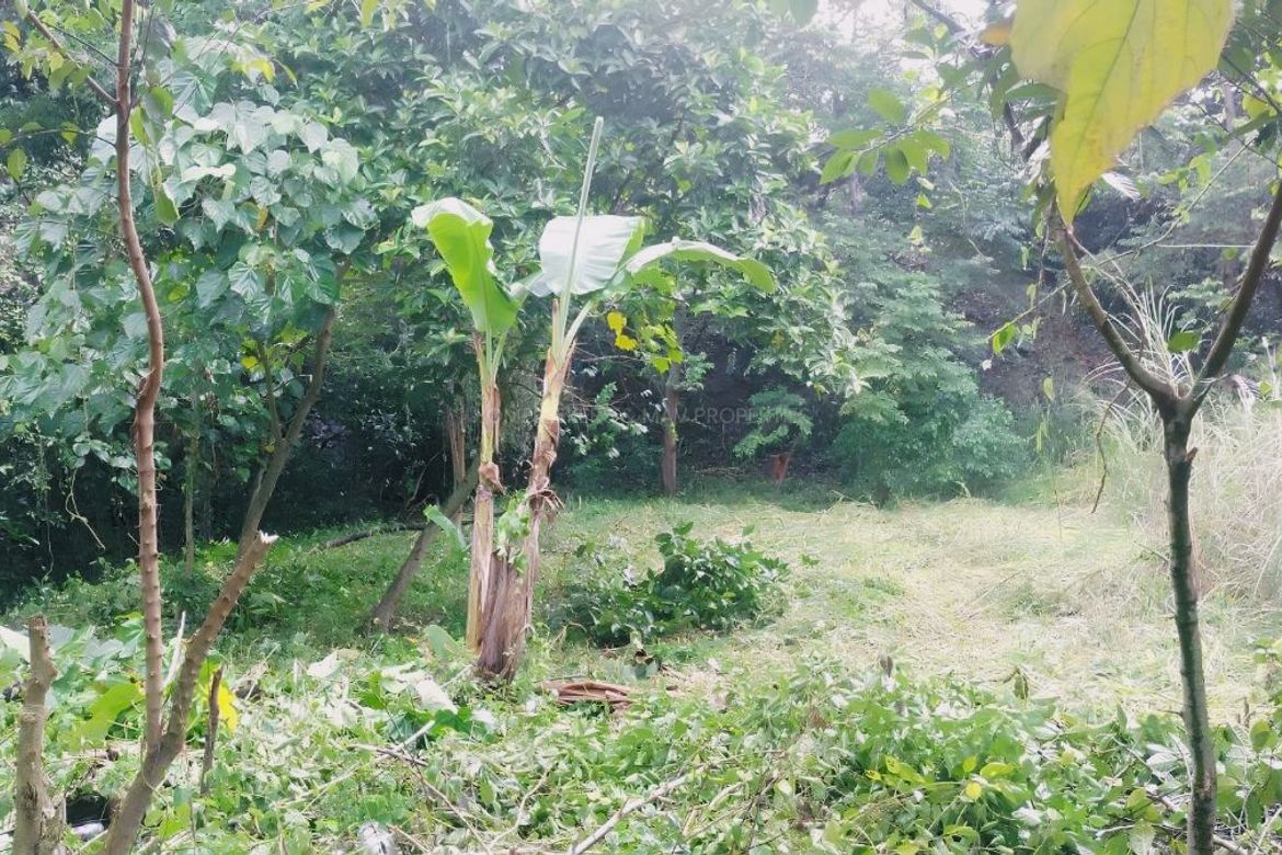 Land for Sale in Salawag, Dasmariñas, Cavite – photo 7