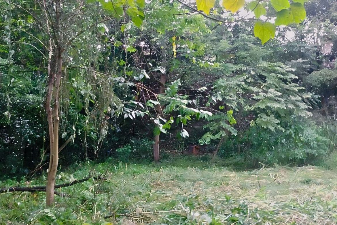 Land for Sale in Salawag, Dasmariñas, Cavite – photo 8