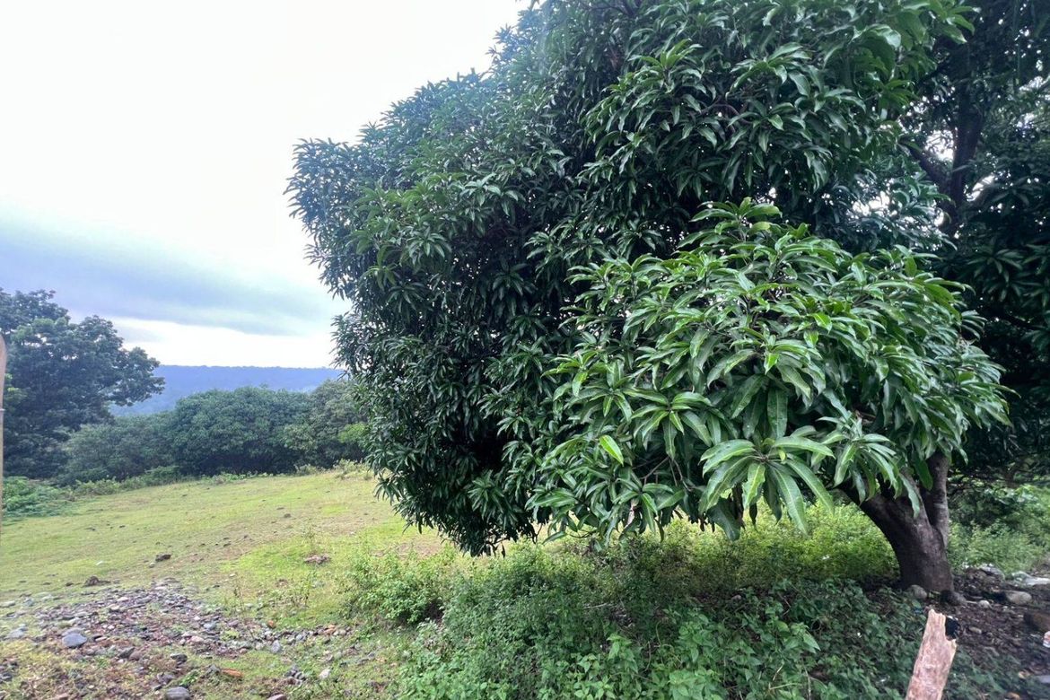 Land for Sale in Salaza, Palauig, Zambales – photo 2