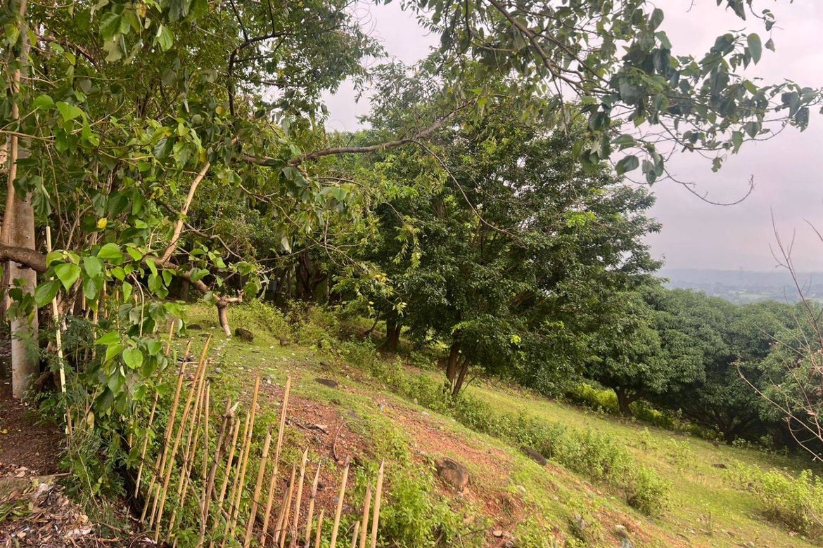 Land for Sale in Salaza, Palauig, Zambales – photo 3