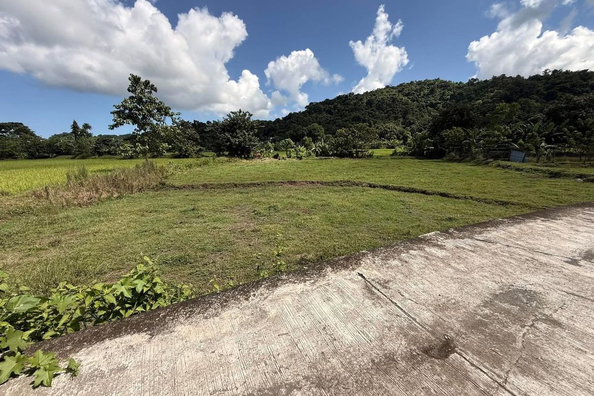 Land for Sale in Salcedo, Luna, La Union – photo 4