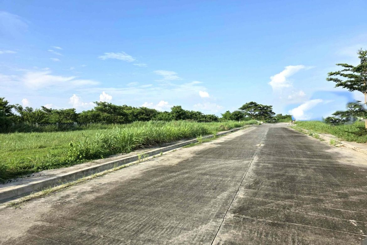 Land for Sale in Salitran I, Dasmariñas, Cavite – photo 2