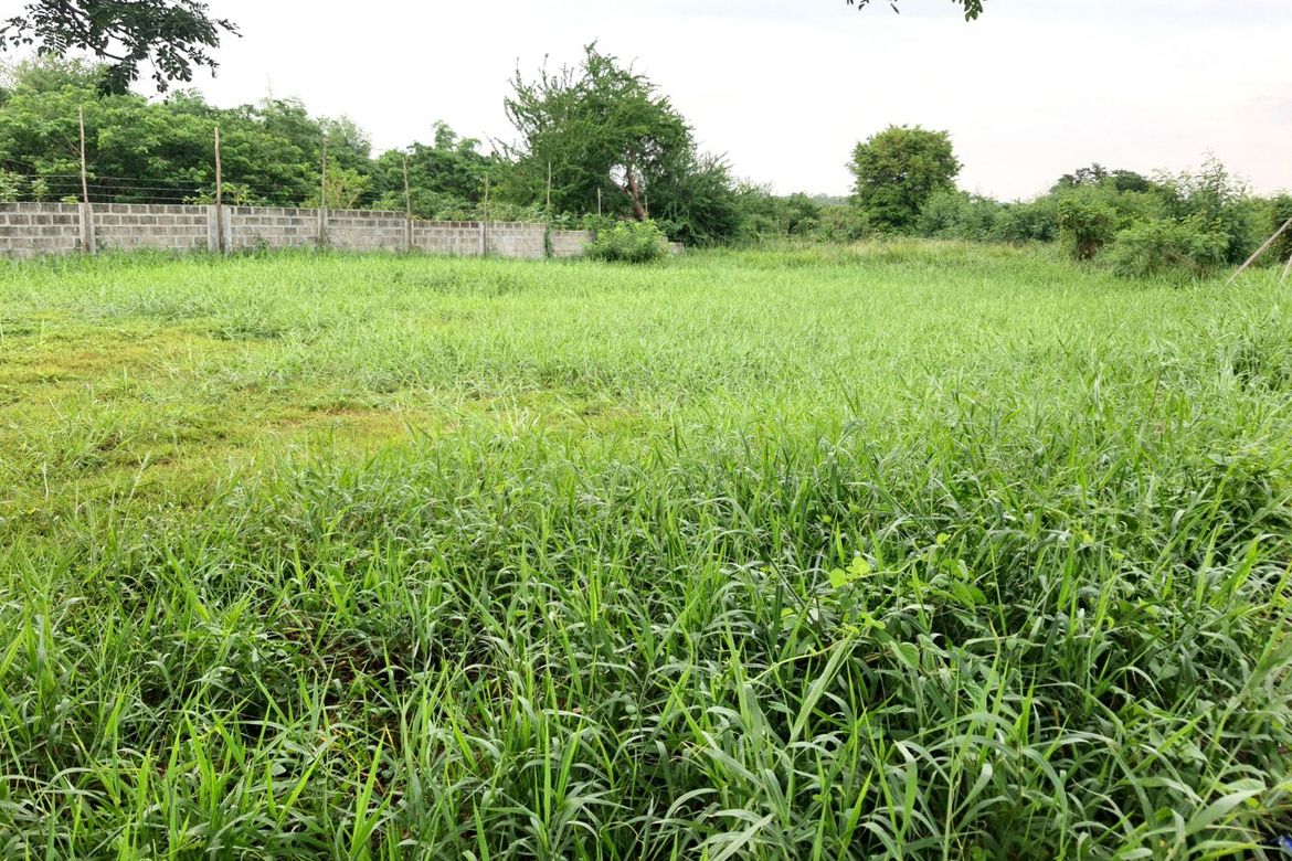 Land for Sale in Salitran I, Dasmariñas, Cavite