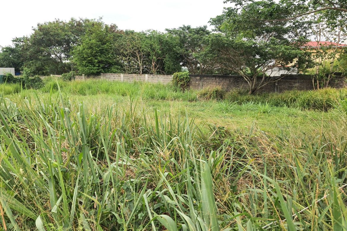 Land for Sale in Salitran I, Dasmariñas, Cavite – photo 2
