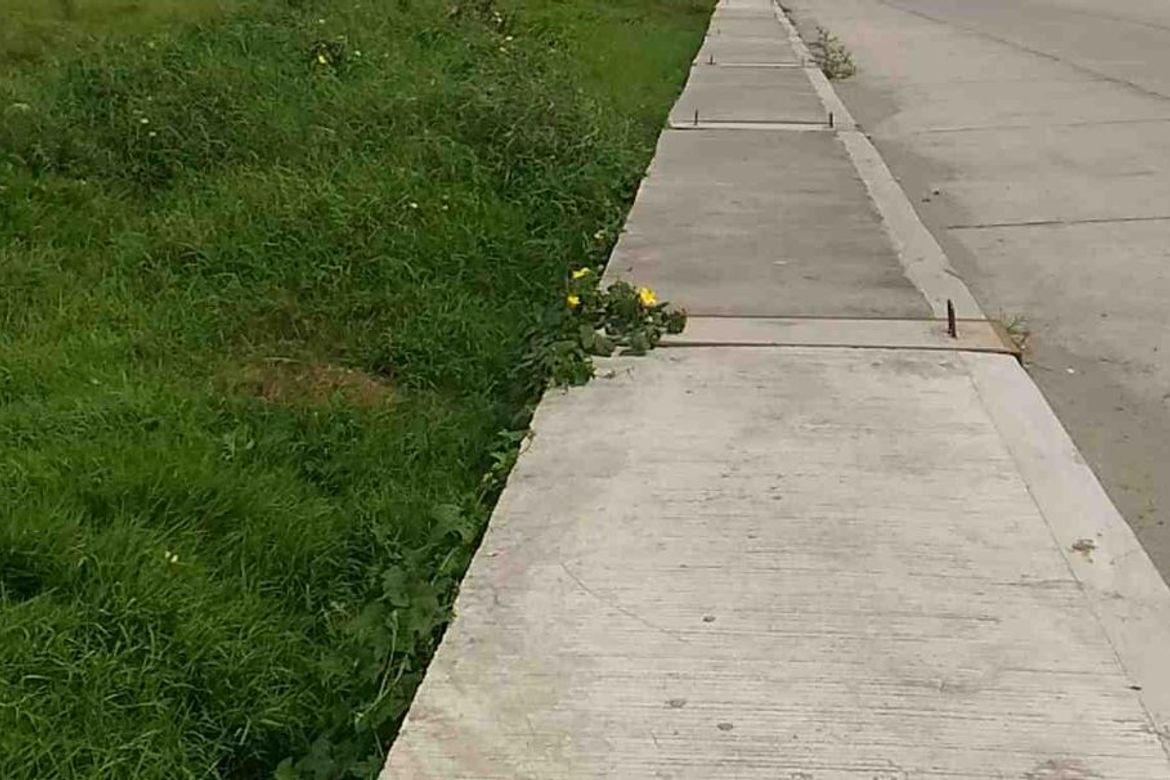 Land for Sale in Salitran I, Dasmariñas, Cavite – photo 4