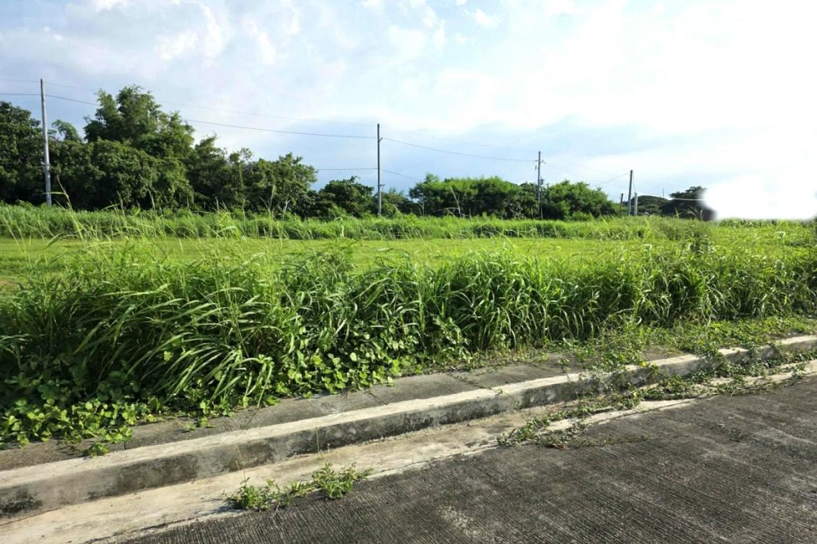Land for Sale in Salitran IV, Dasmariñas, Cavite
