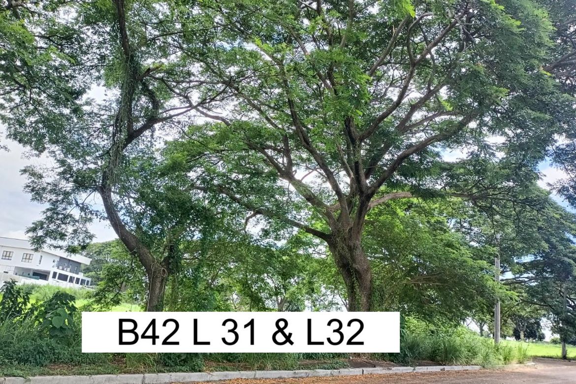 Land for Sale in Salitran IV, Dasmariñas, Cavite