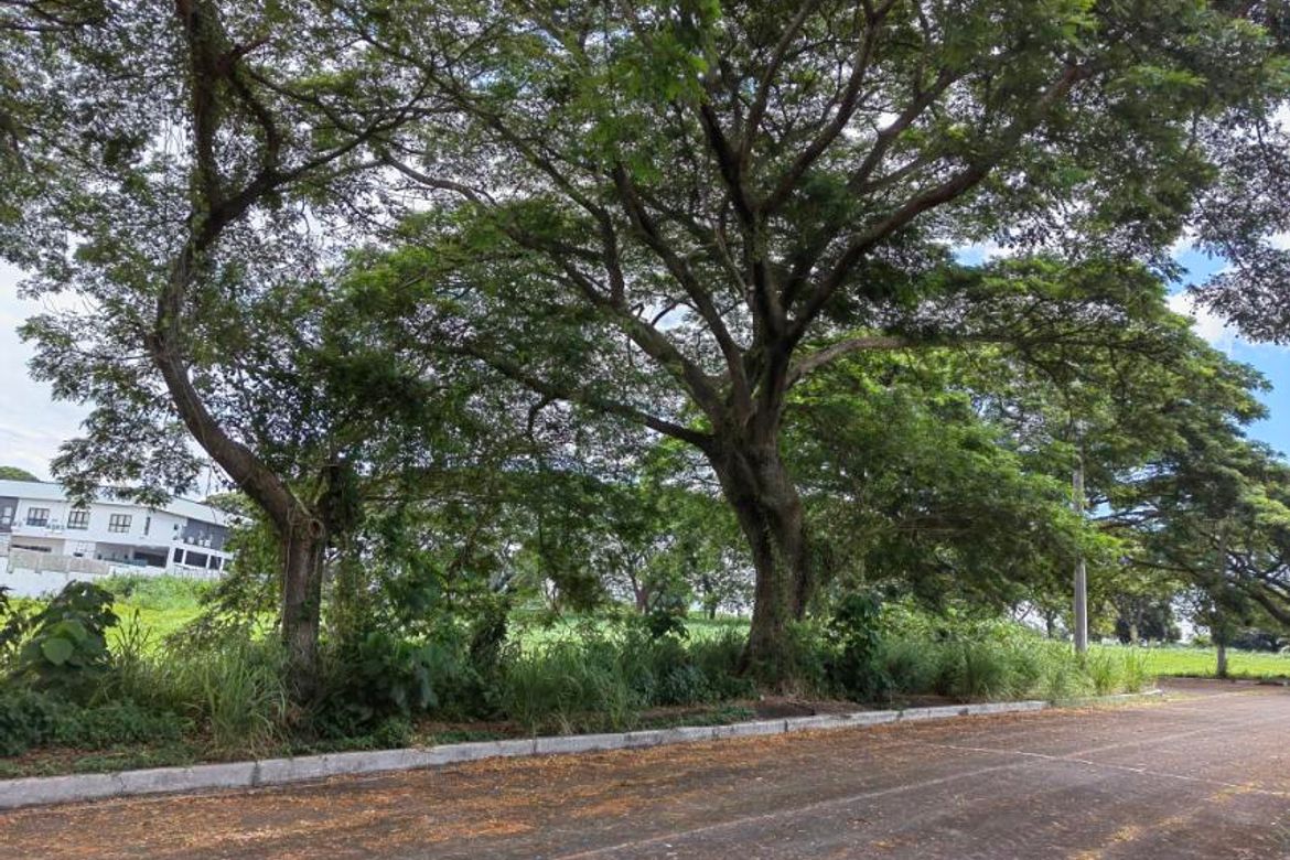 Land for Sale in Salitran IV, Dasmariñas, Cavite – photo 4