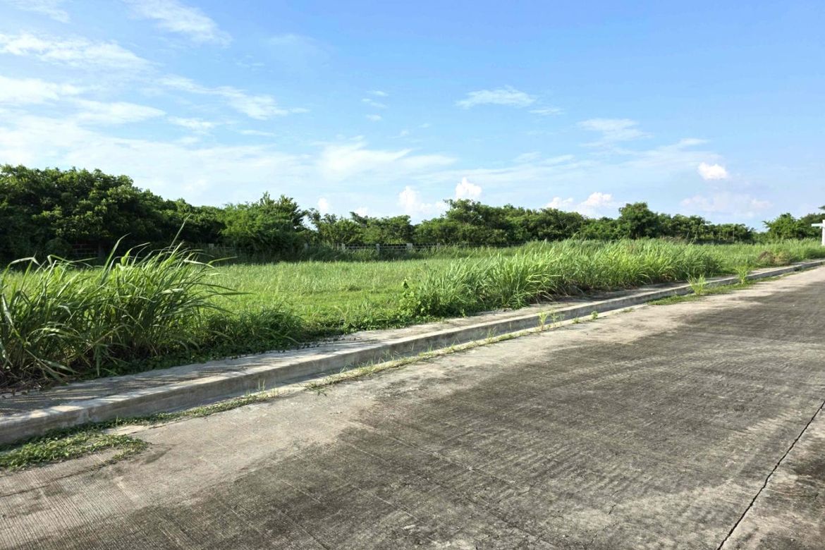 Land for Sale in Salitran IV, Dasmariñas, Cavite – photo 2