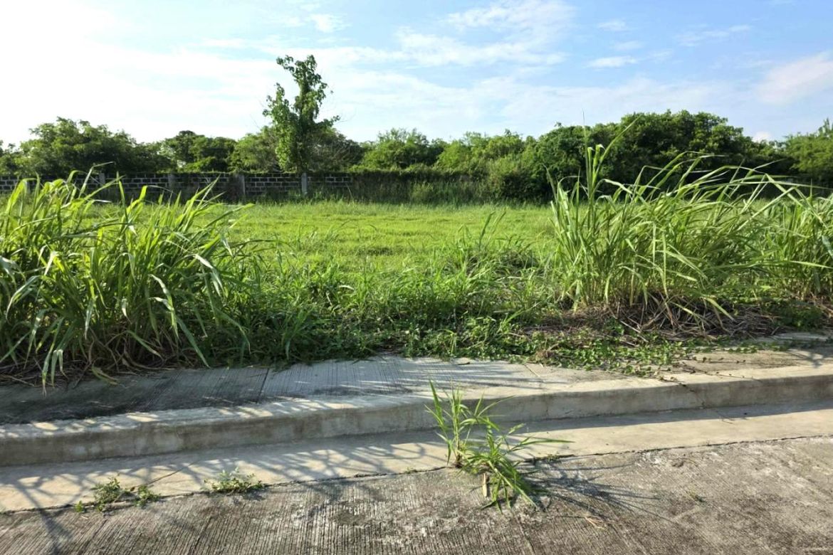 Land for Sale in Salitran IV, Dasmariñas, Cavite – photo 4