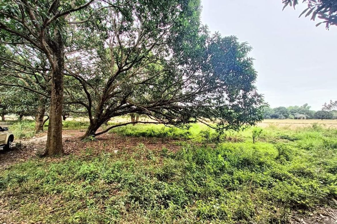 Land for Sale in Salu, Porac, Pampanga – photo 2
