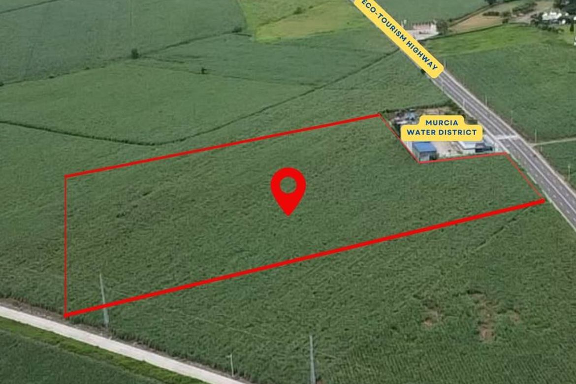 Land for Sale in Salvacion, Murcia, Negros Occidental