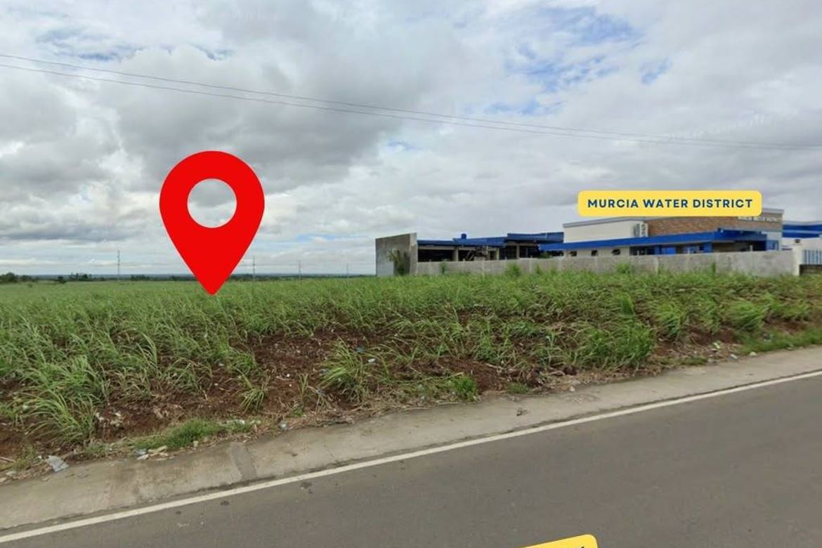 Land for Sale in Salvacion, Murcia, Negros Occidental – photo 3