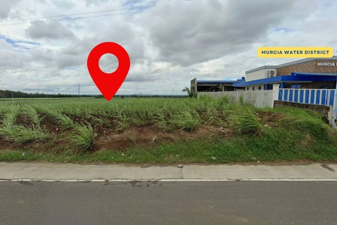 Land for Sale in Salvacion, Murcia, Negros Occidental – photo 4