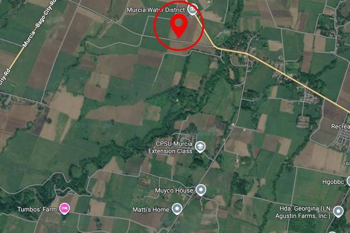 Land for Sale in Salvacion, Murcia, Negros Occidental – photo 5