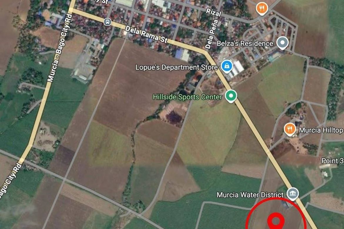 Land for Sale in Salvacion, Murcia, Negros Occidental – photo 6