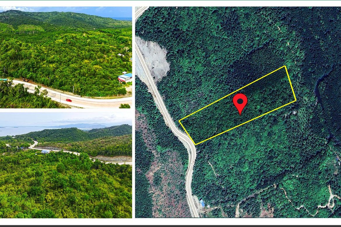 Land for Sale in Salvacion, Puerto Princesa, Palawan