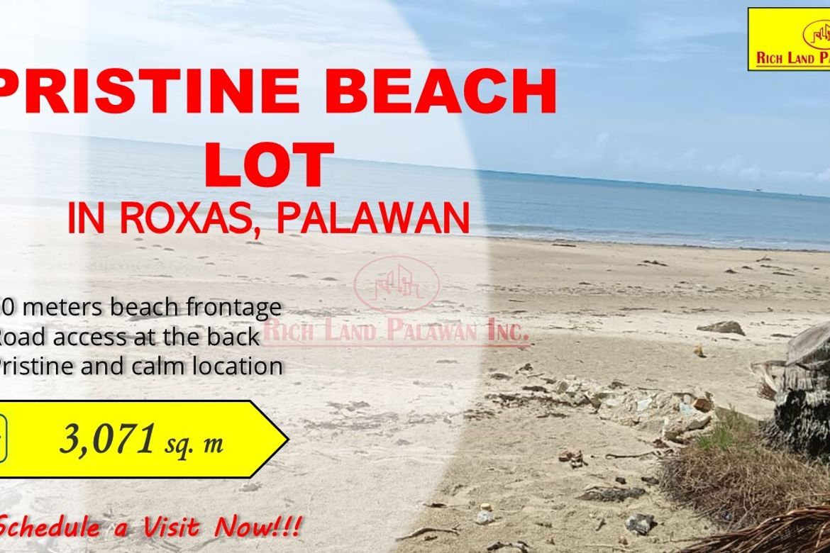Land for Sale in Salvacion, Roxas, Palawan