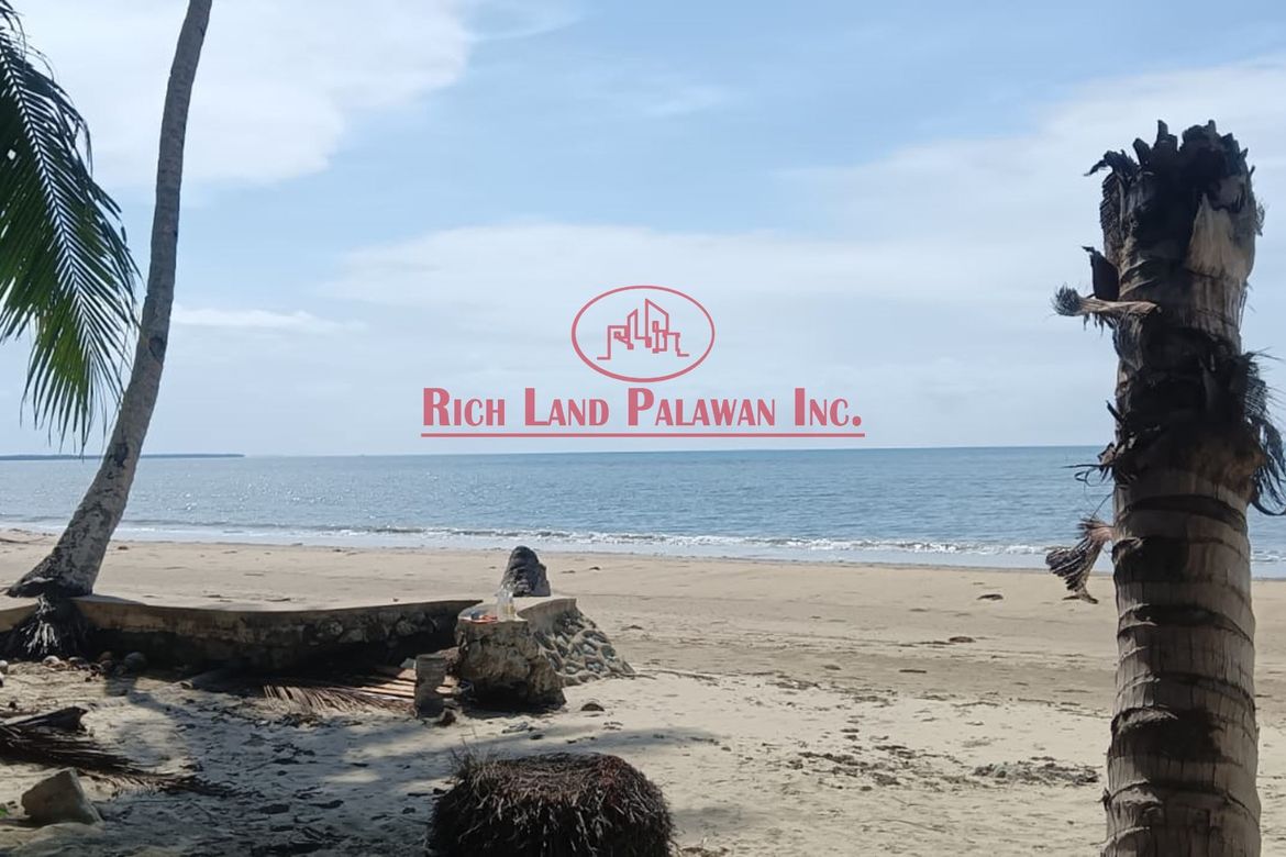 Land for Sale in Salvacion, Roxas, Palawan – photo 3