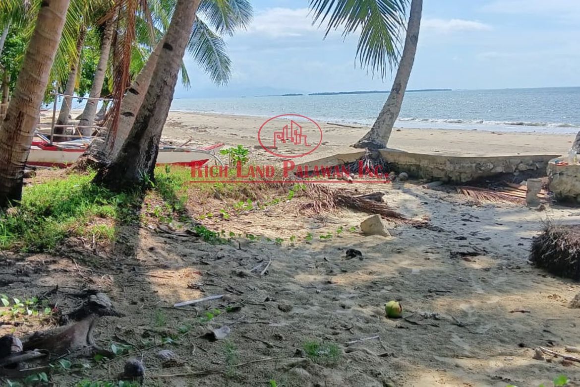 Land for Sale in Salvacion, Roxas, Palawan – photo 4