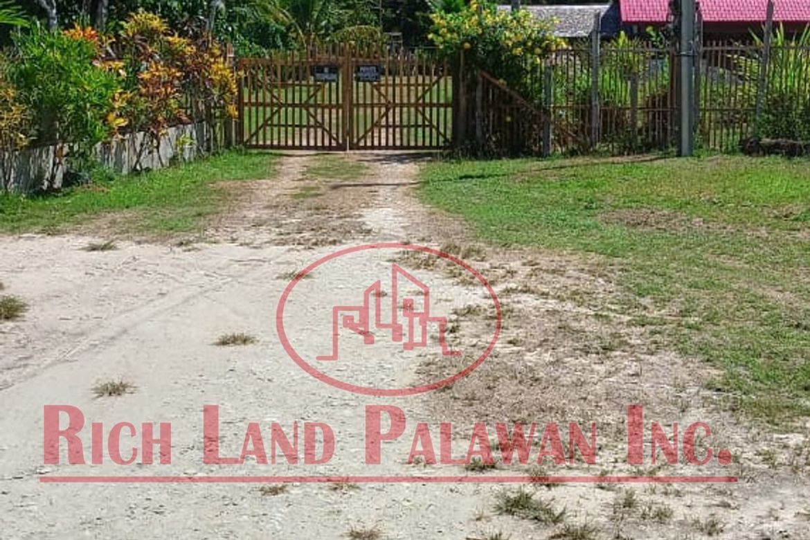 Land for Sale in Salvacion, Roxas, Palawan – photo 6