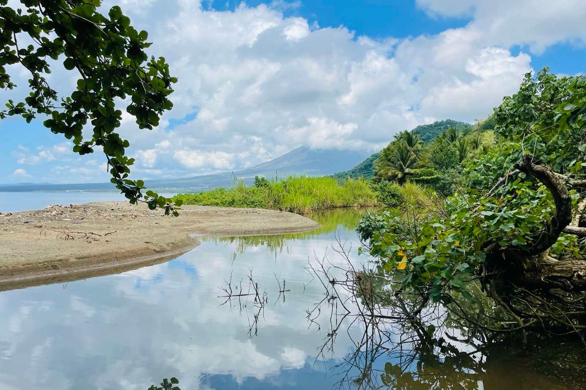 Land for Sale in Salvacion, Santo Domingo, Albay – photo 4