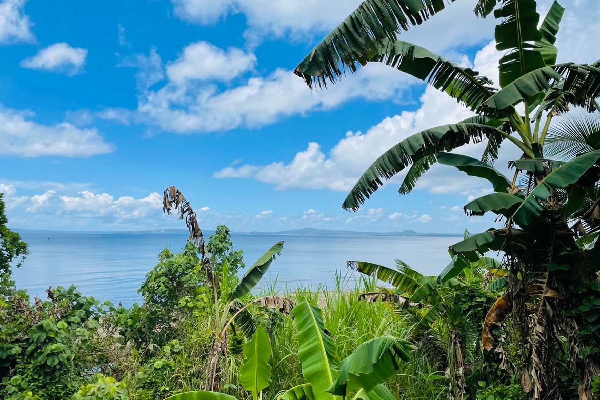 Land for Sale in Salvacion, Santo Domingo, Albay – photo 7